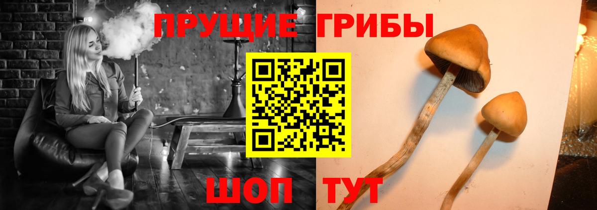 Псилоцибиновые грибы Psilocybe  Вход с VPN  Великие Луки  Галлюциногенные грибы Magic Shrooms 